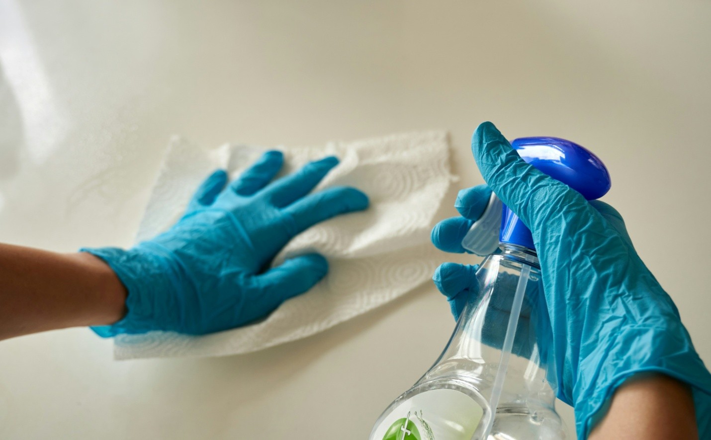 Floor Cleaning for Pet Homes How to Remove Paw Prints, Hair, and Odors